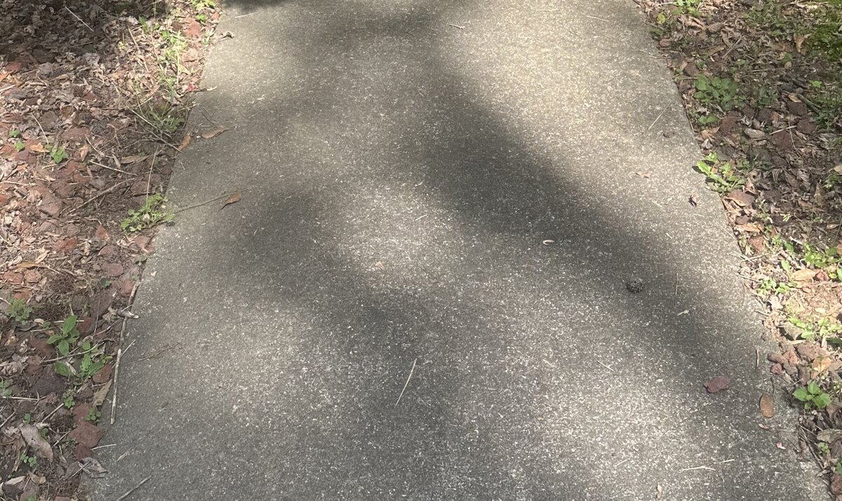 Driveway before pressure washing